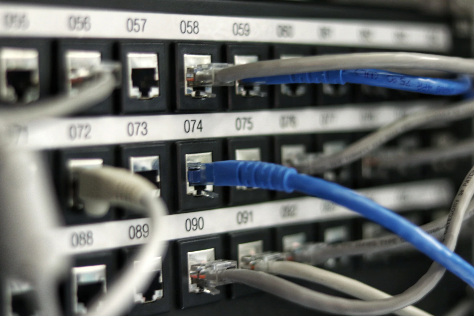 Detalle fotográfico de conexiones RJ45 en un patch panel